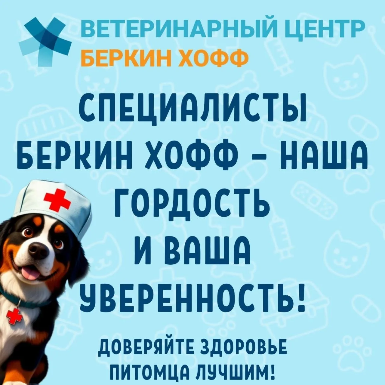 🎓 Учимся, развиваемся и становимся лучше ради здоровья ваших питомцев! 🐱🐶