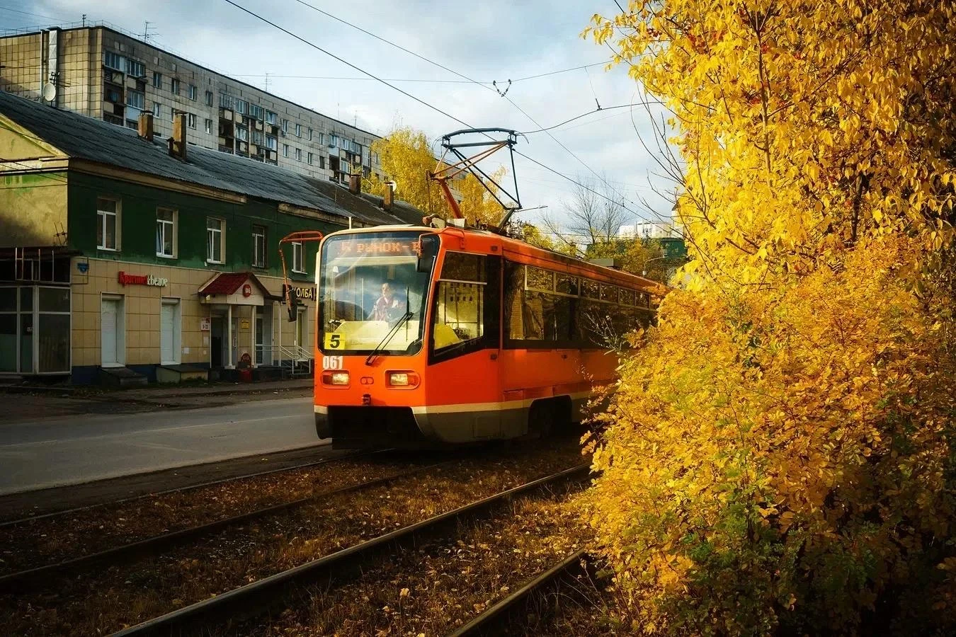 Сегодня будет самый тёплый день месяца: днём температура поднимется до +16 °C. Без осад...