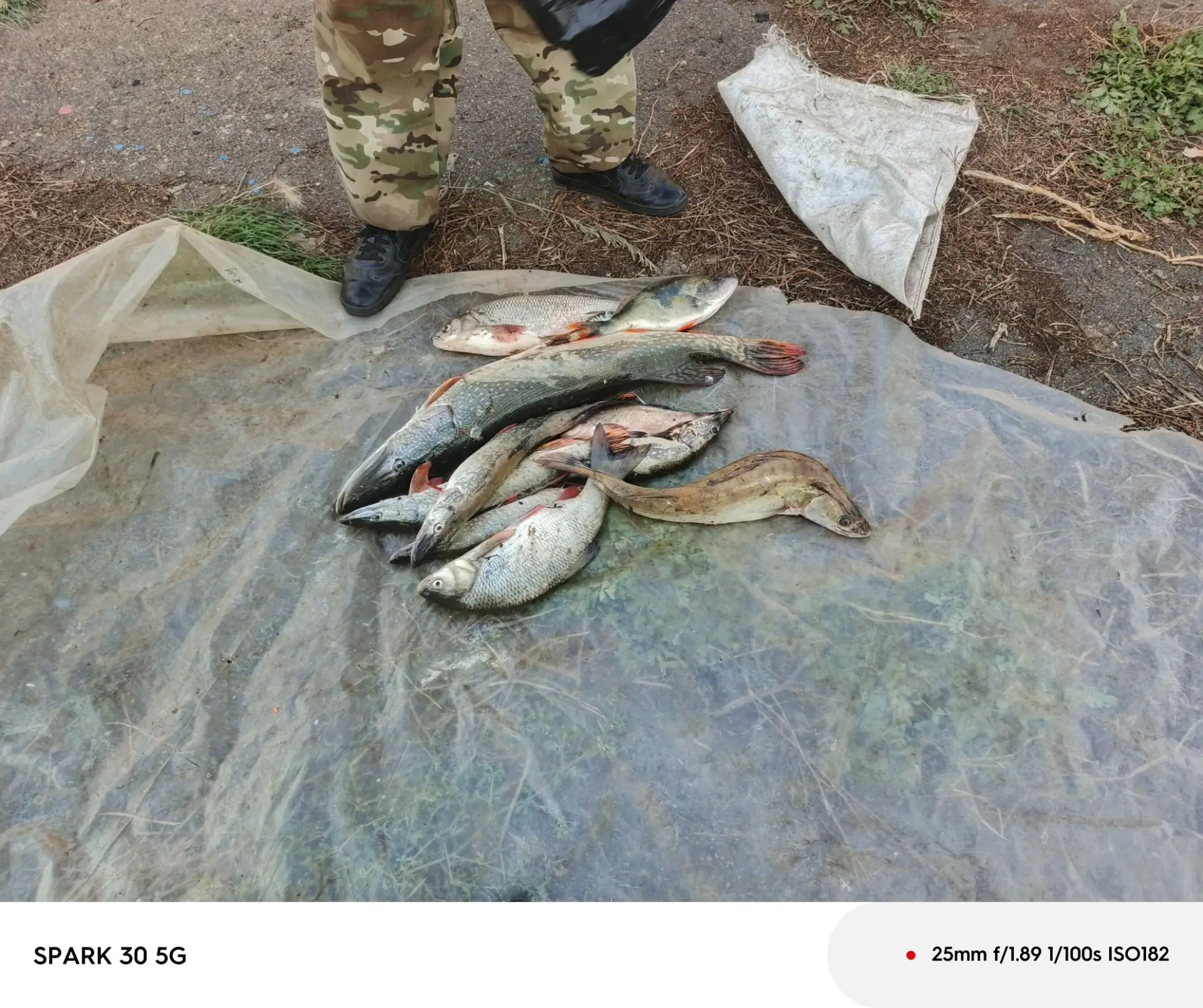Щука на 3400 килограмма ловили вечером на блесну на иртеше