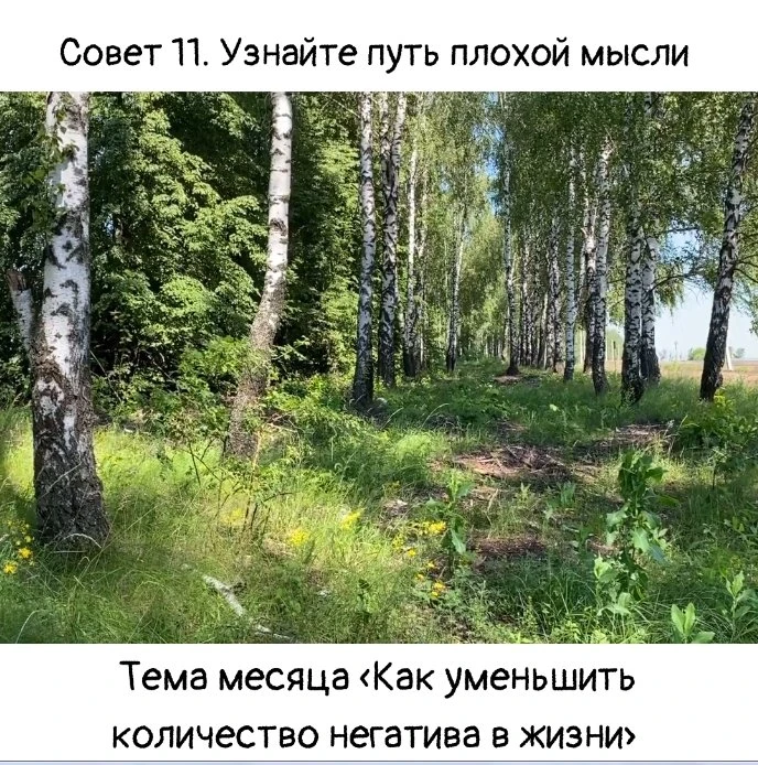 Совет 11. Узнайте путь плохой мысли