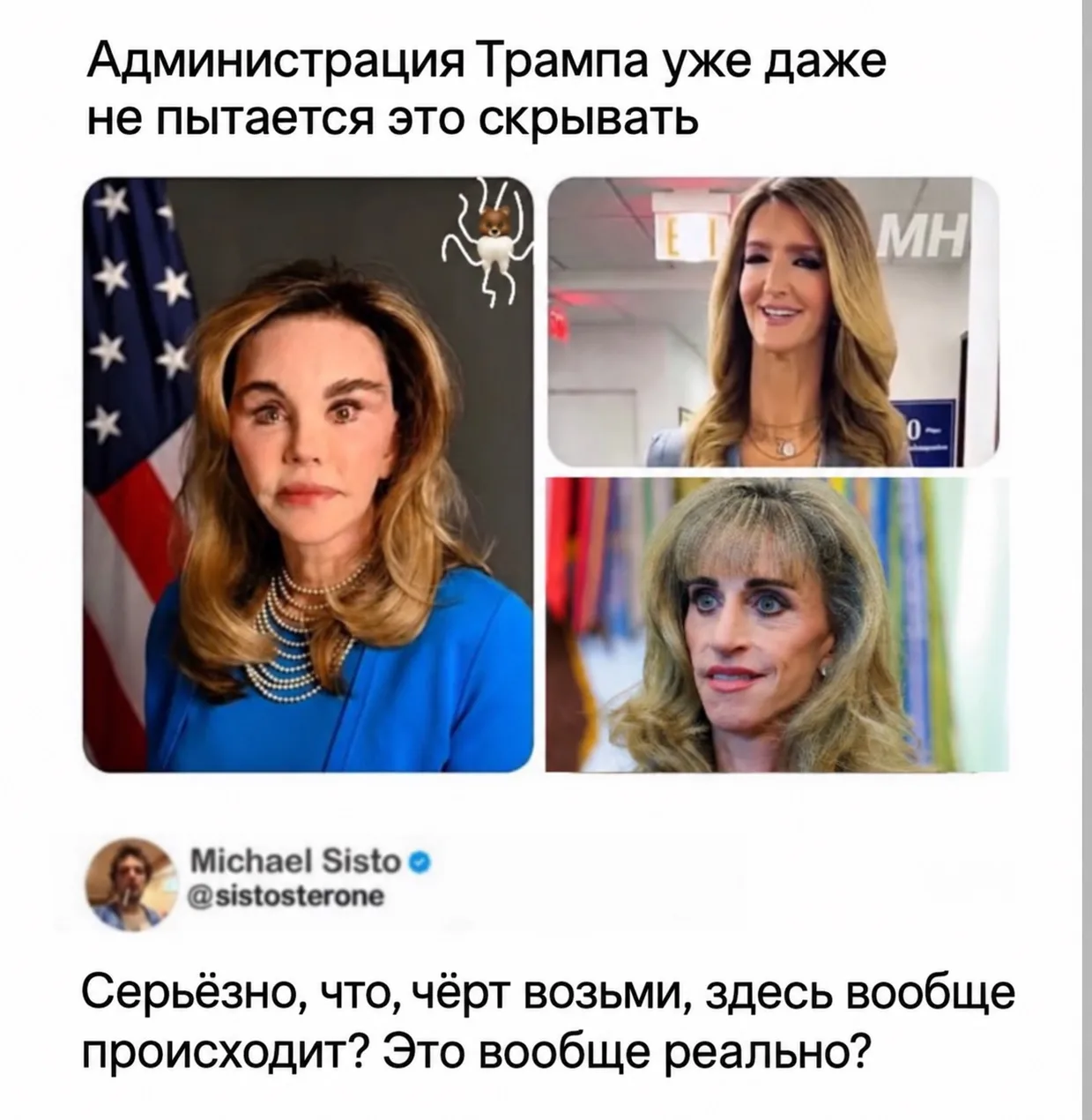 Сейчас только и разговоров, что о кабинете Трампа и его прелестных участницах