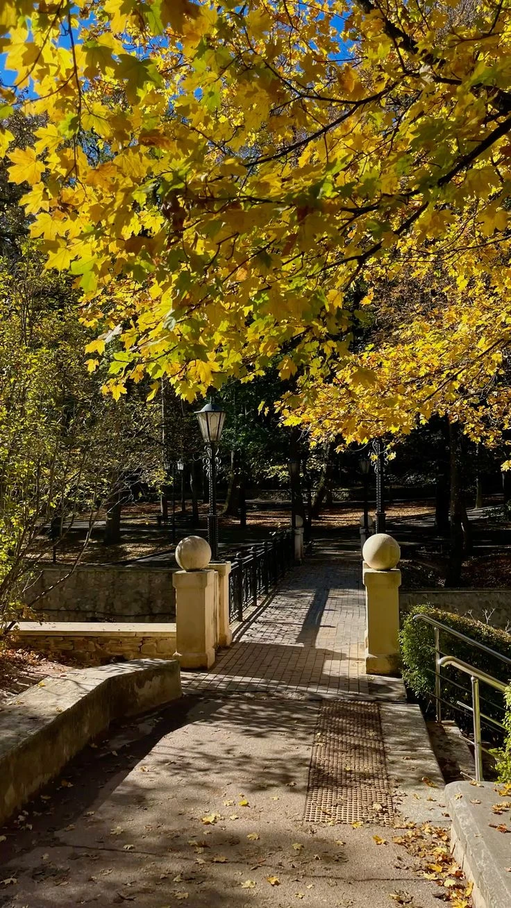 🍂Осень на курортах КМВ