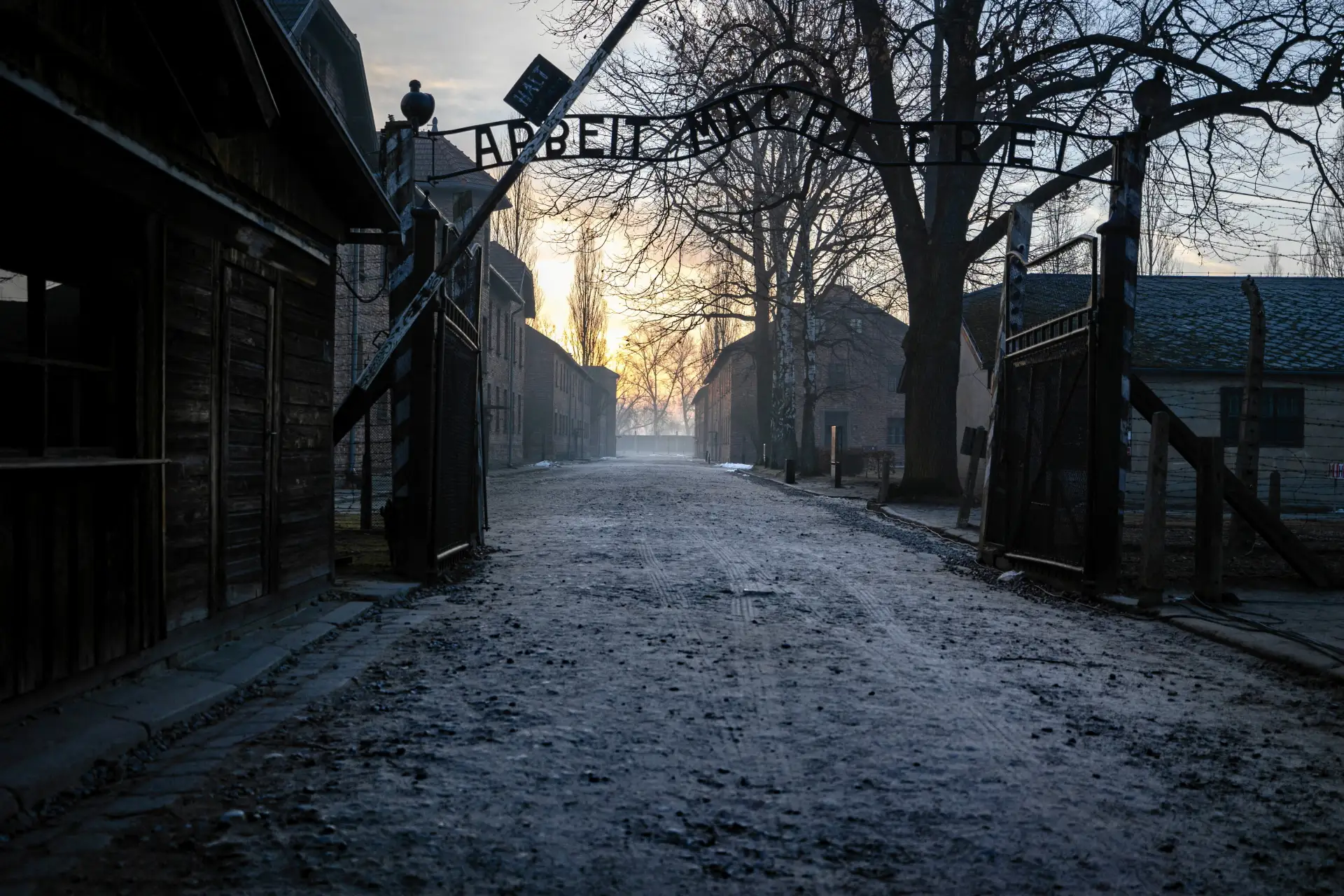 ↗️ Литовец зиганул в Освенциме и поплатился