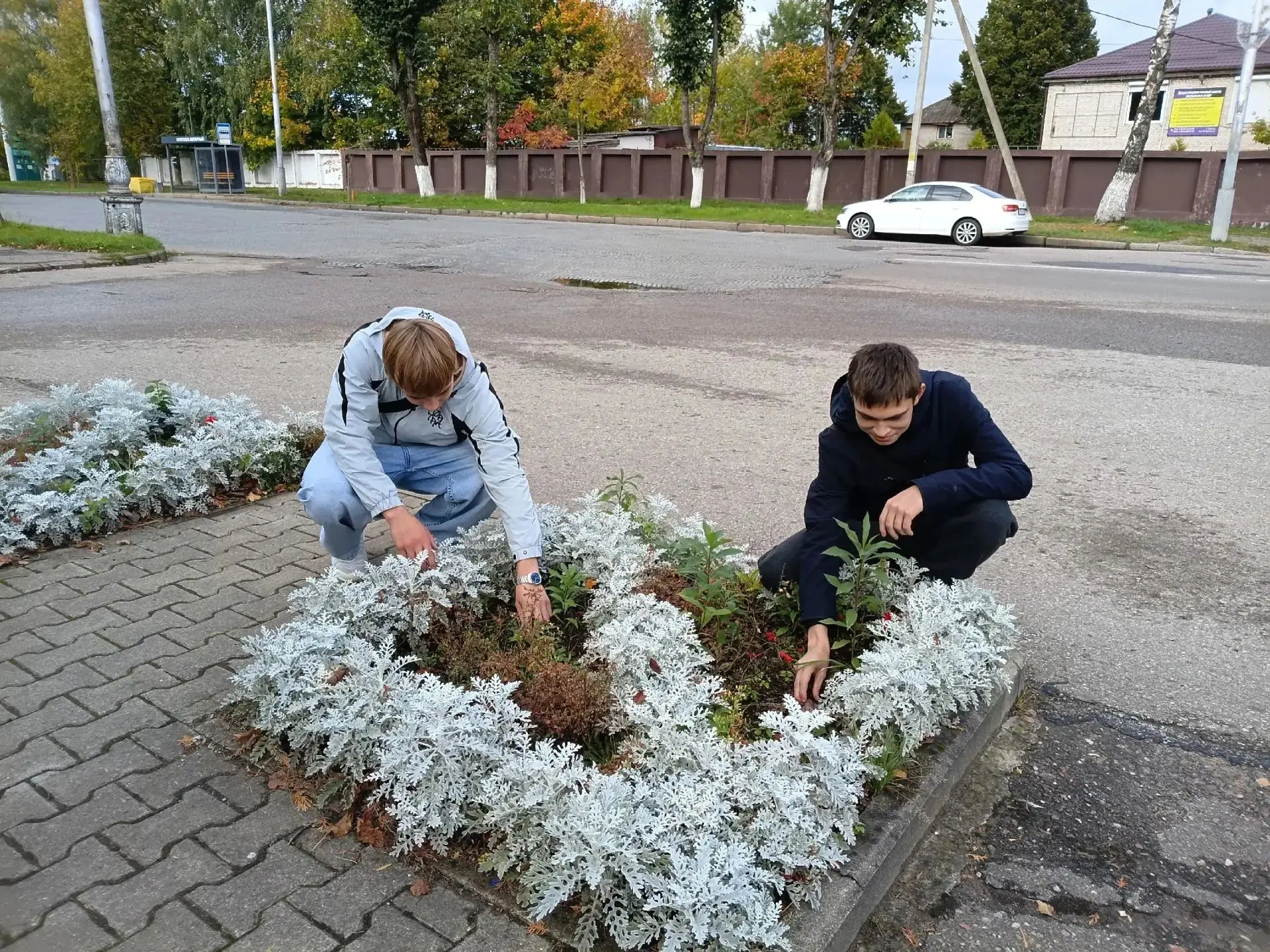В рамках акции «Недели добрых дел» студенты группы 8 СЗ провели волонтерскую экологичес...