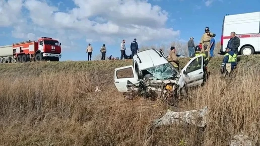 В Оренбургской области в двух ДТП погибли четыре человека, включая ребёнка
