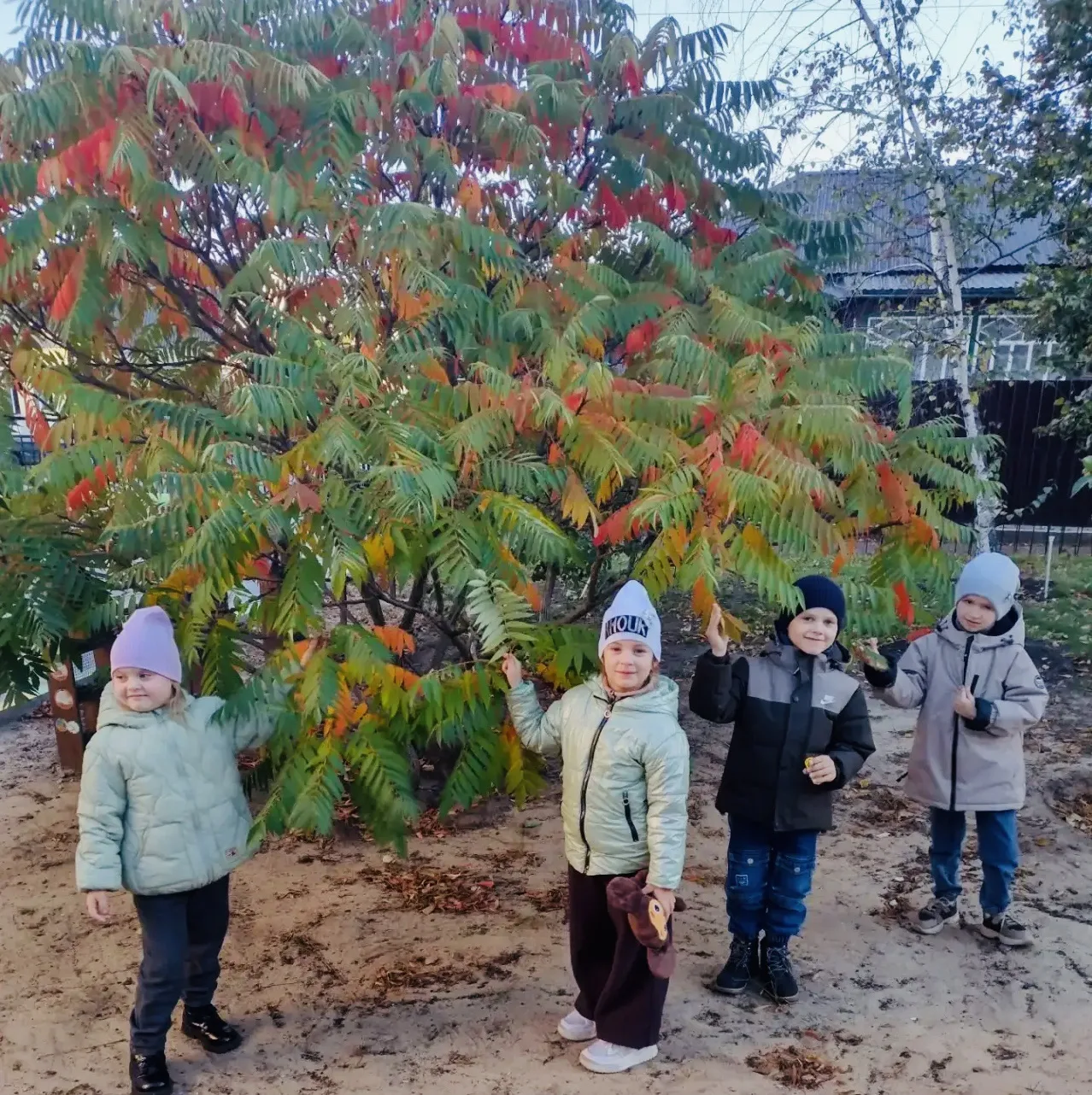 🍁🍂Сегодня в группе "Дельфинчики" прошёл "День осеннего пейзажа". День получился очень...