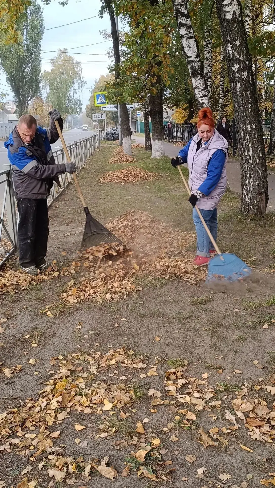 🍂В МБОУ «СОШ № 19»