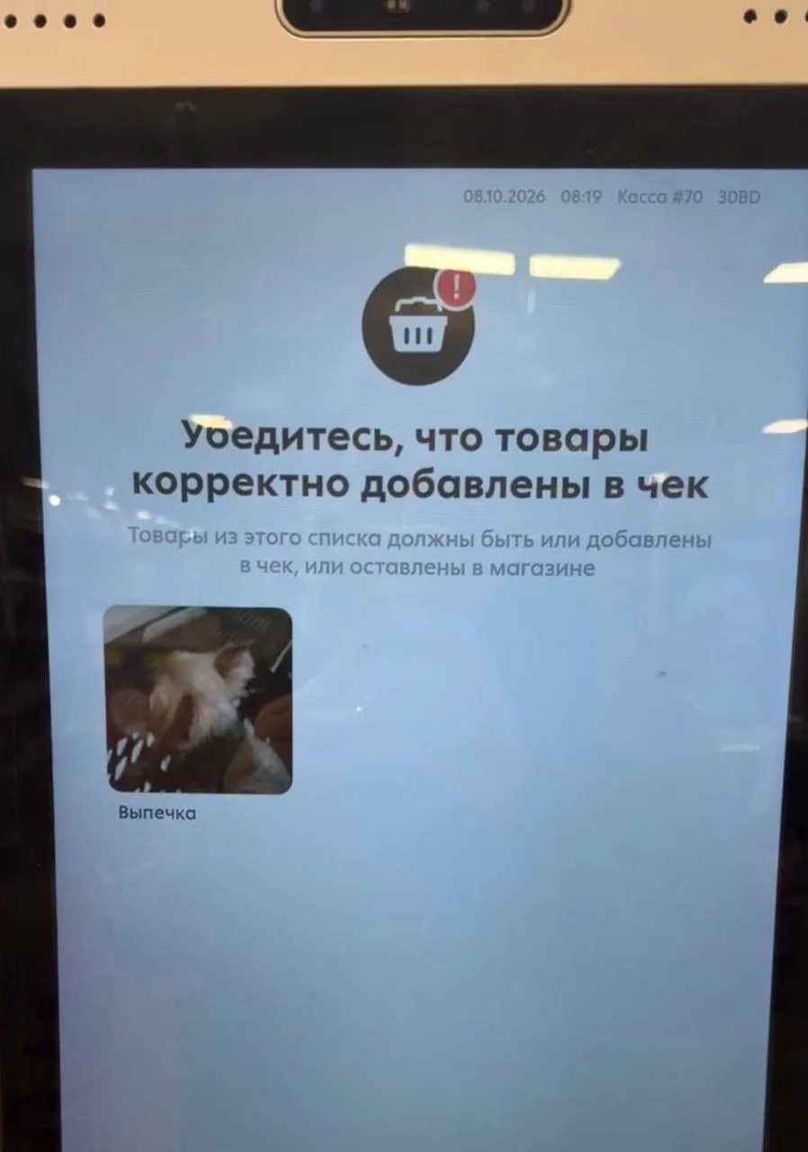 В магазине касса самообслуживания приняла собачку за хлебобулочное изделие.