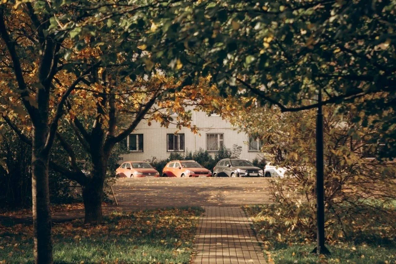 🍂 Осень в Мытищах