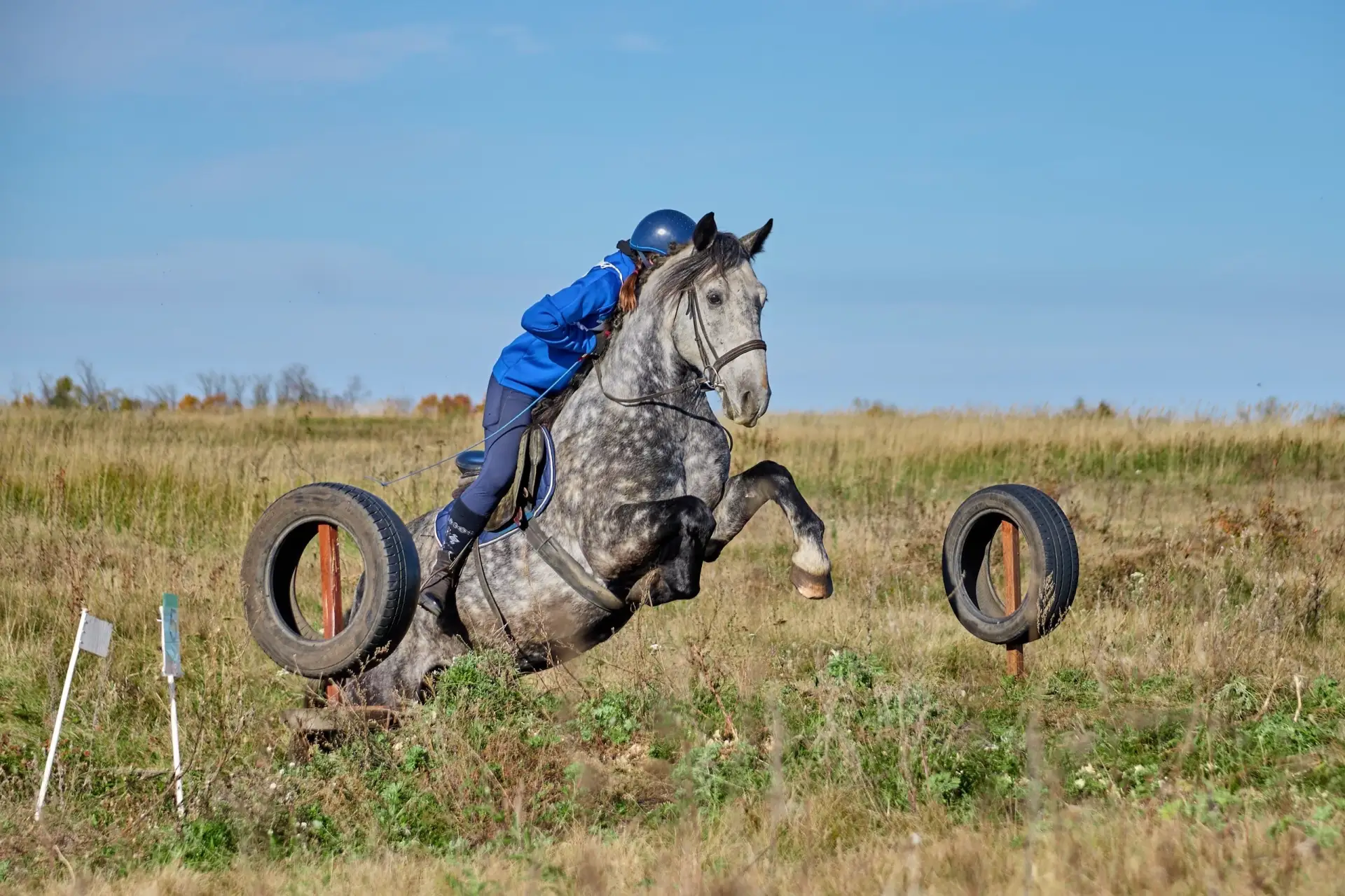 🏇Чемпионат Самарской области по спортивному туризму завершился в Ставропольском районе...
