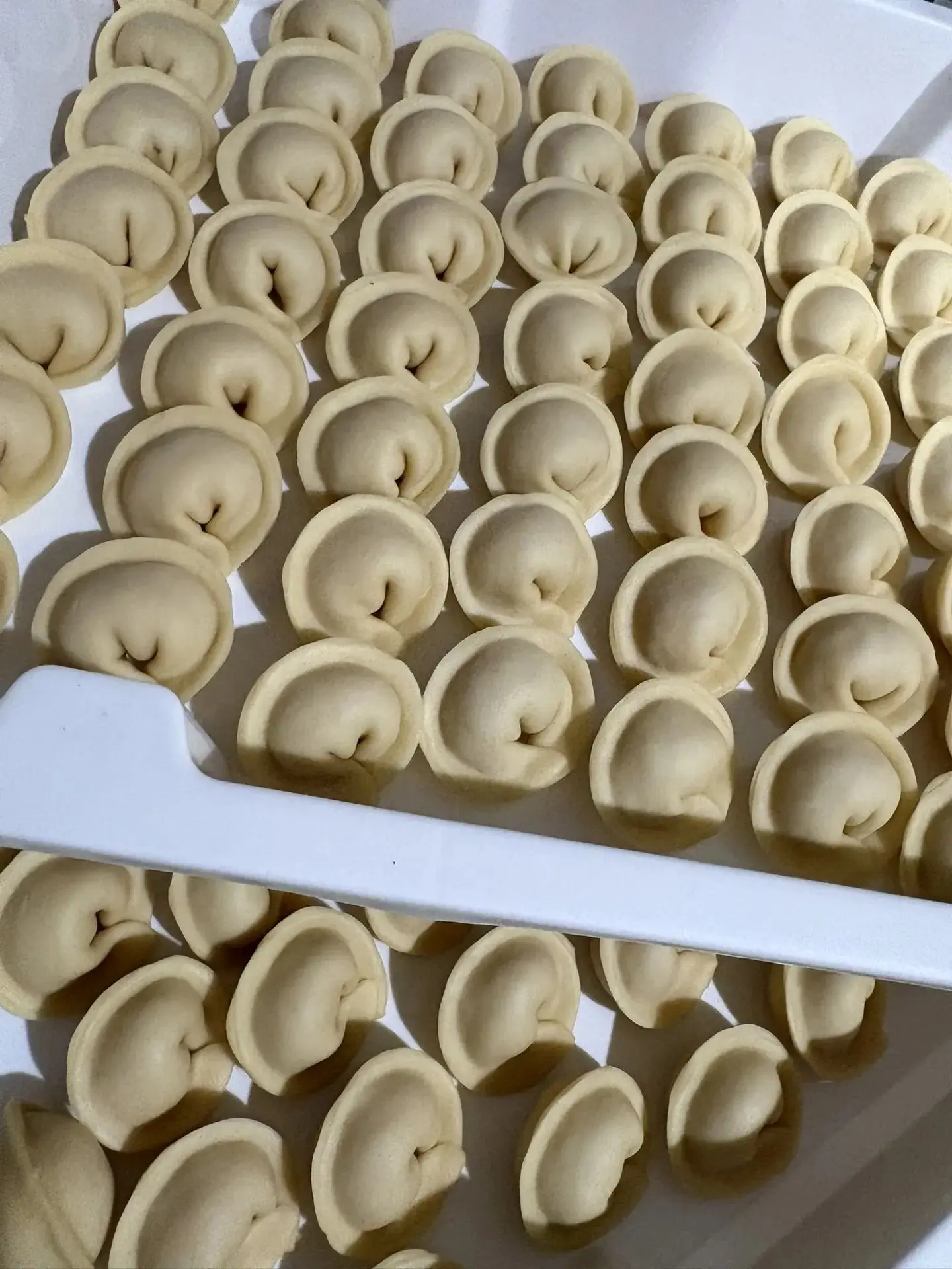 пельмешки с судаком в продаже