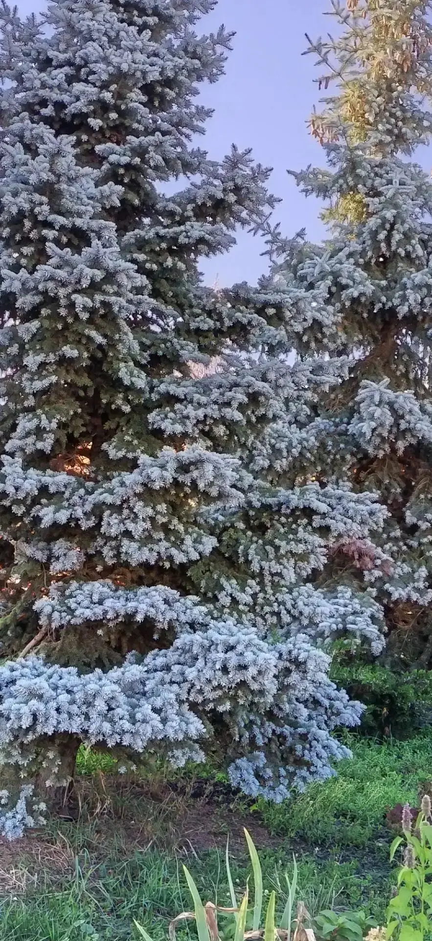📸 В телефоне снова десятки осенних фото? На Танае сложно удержаться!