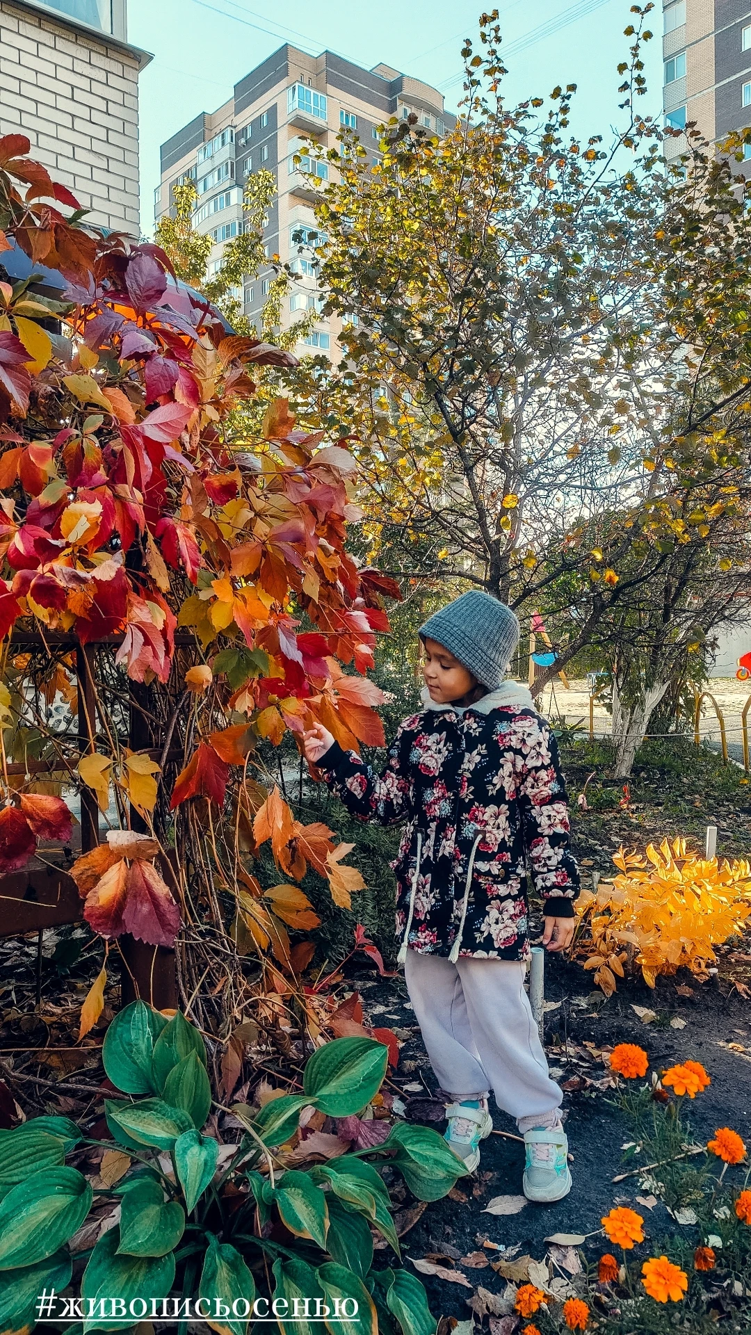 🍁 Осенний кадр дня от подписчика
