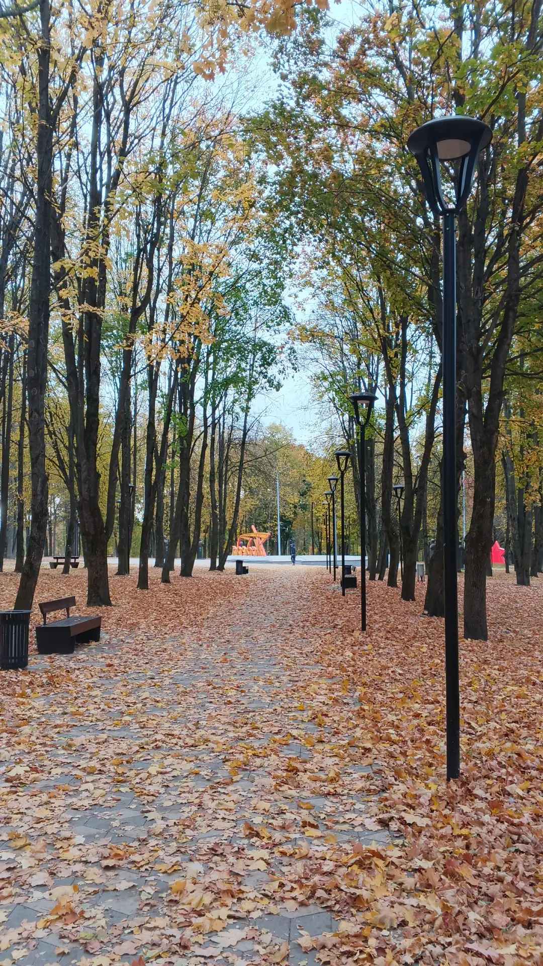Пойдём листвою пошуршим! 🍁🍂🍁