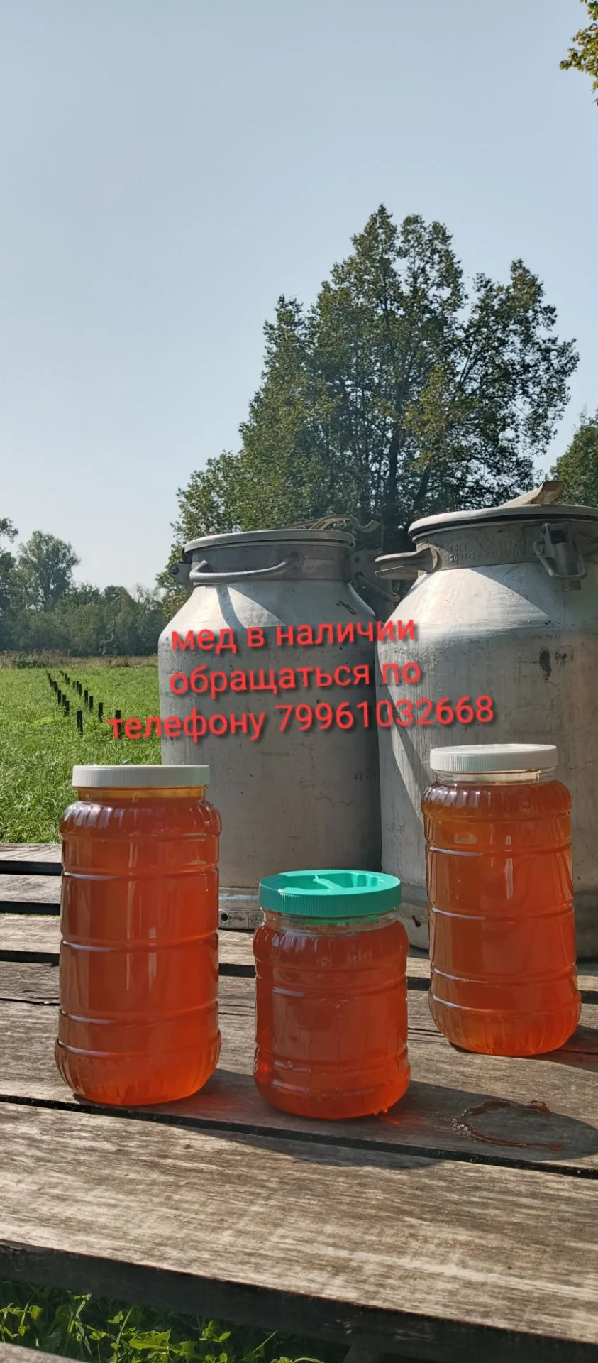 Продаётся МЕД 👍со своей пасеки: