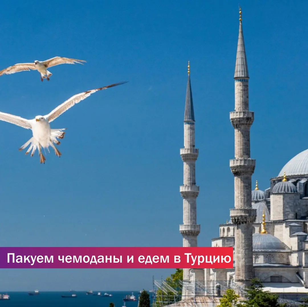 Пакуем чемоданы и отправляемся в приключение в Турцию!