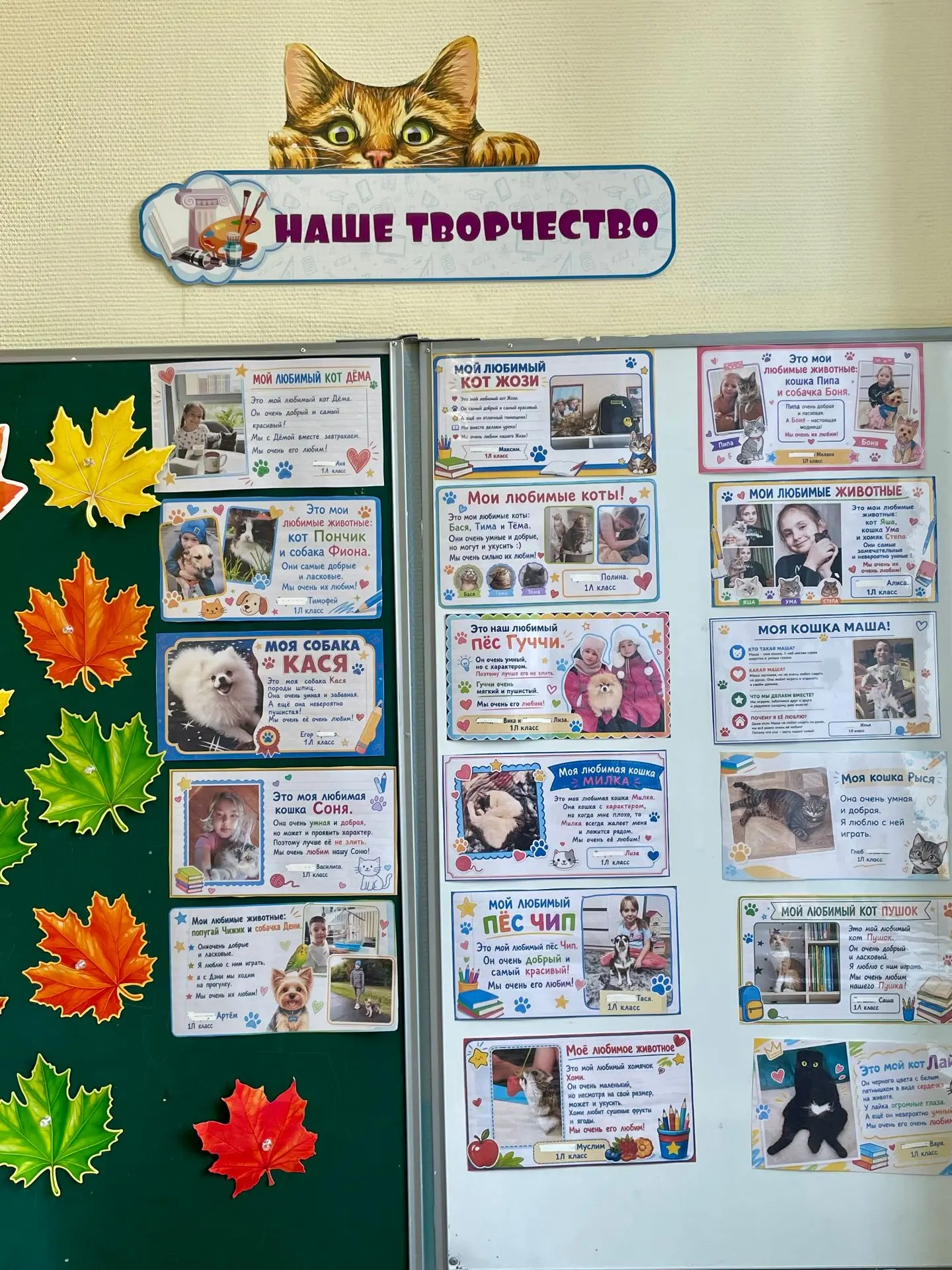 Хвостатые рекорды и большие сердца!