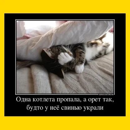 Полный Хохотамбл! Подпишись скорее