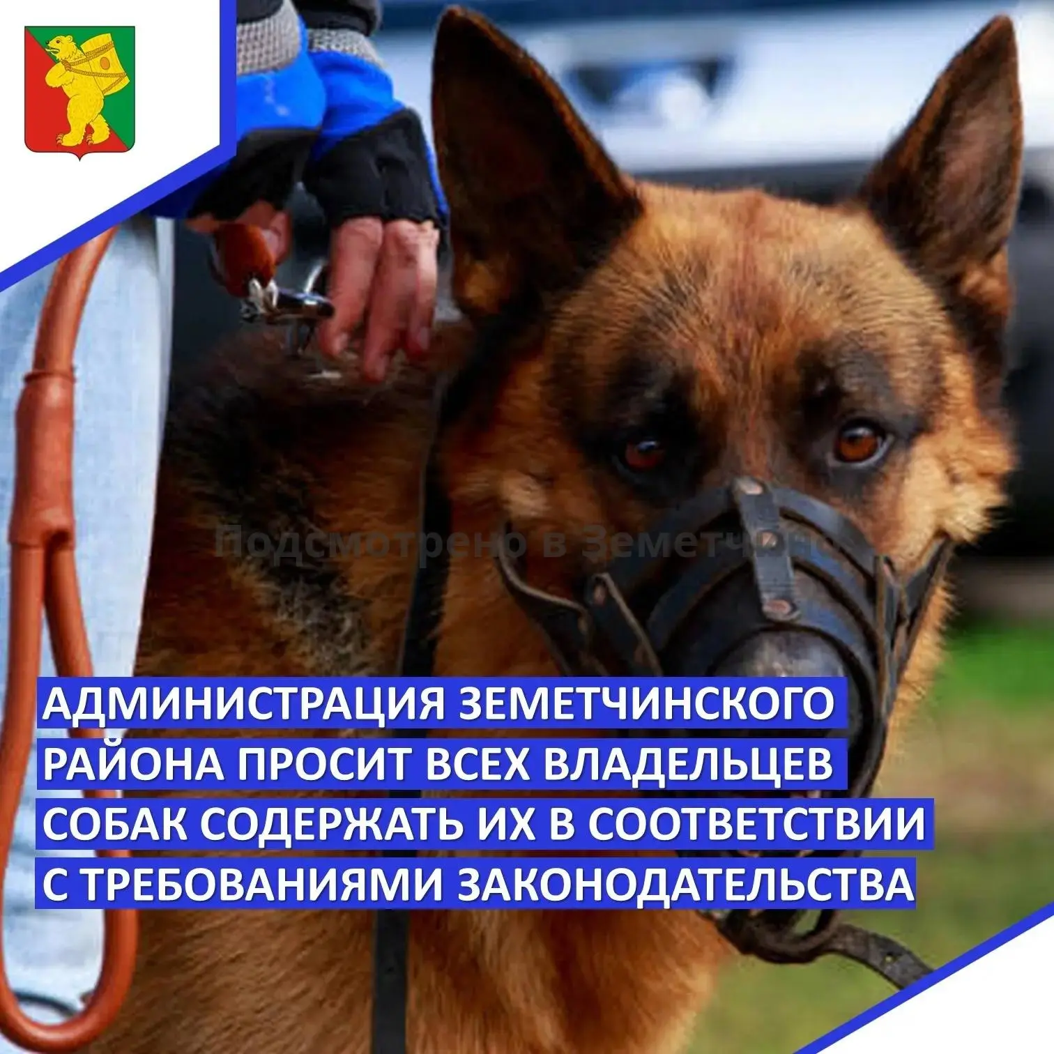 📜 Администрация Земетчинского района просит всех владельцев собак содержать их в соотв...