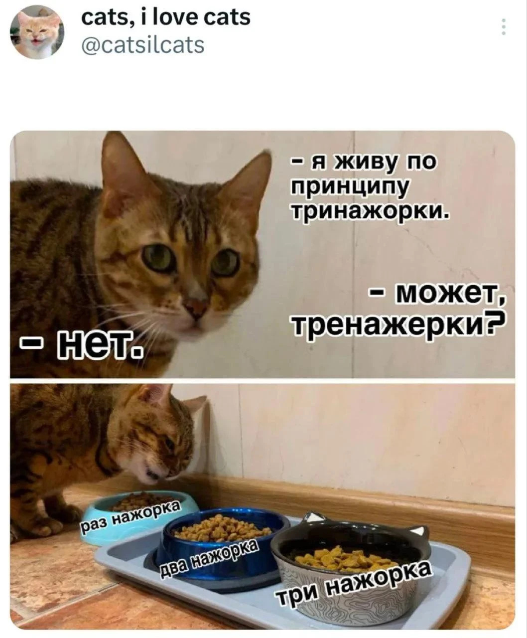 Сама всё перепробовала — не работает.