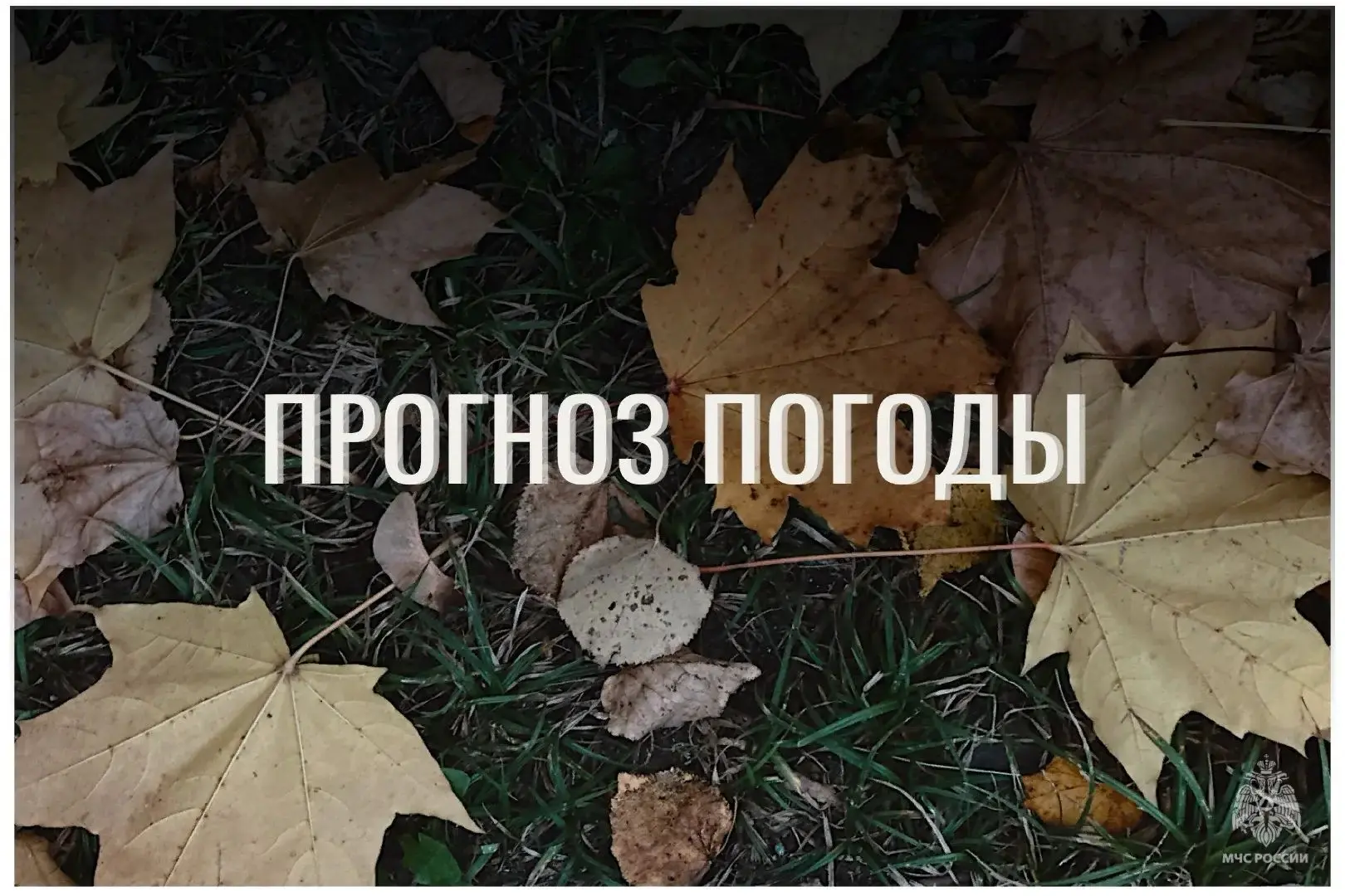 🟩⛅По данным ЦГМС, 14 октября в регионе прогнозируется облачно с прояснениями.