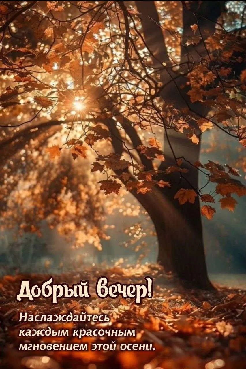 Женские открытки💝
