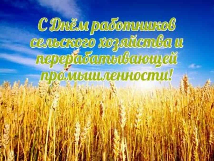 Уважаемые аграрии, ветераны отрасли Ремонтненского района!