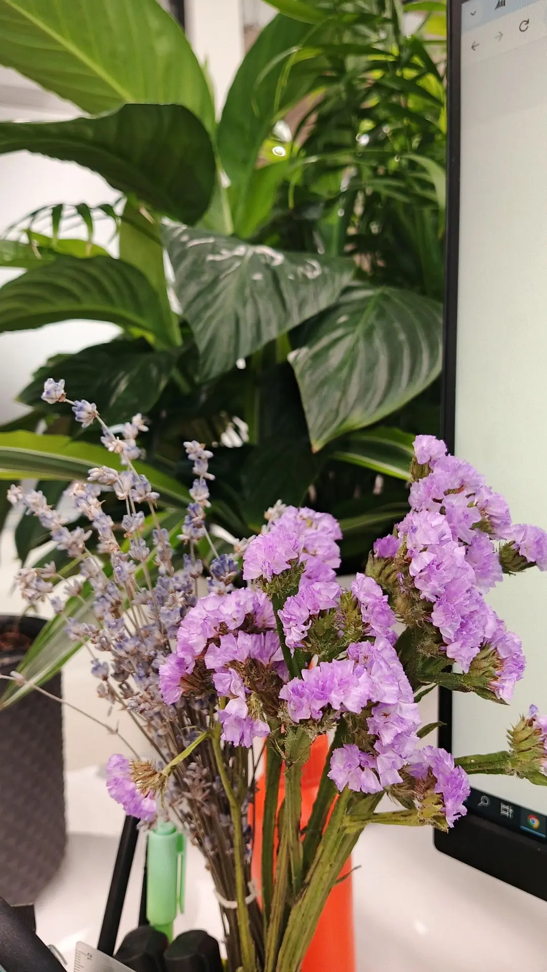 Уют на рабочем столе🌸 и пустынная дорога домой с работы🙄