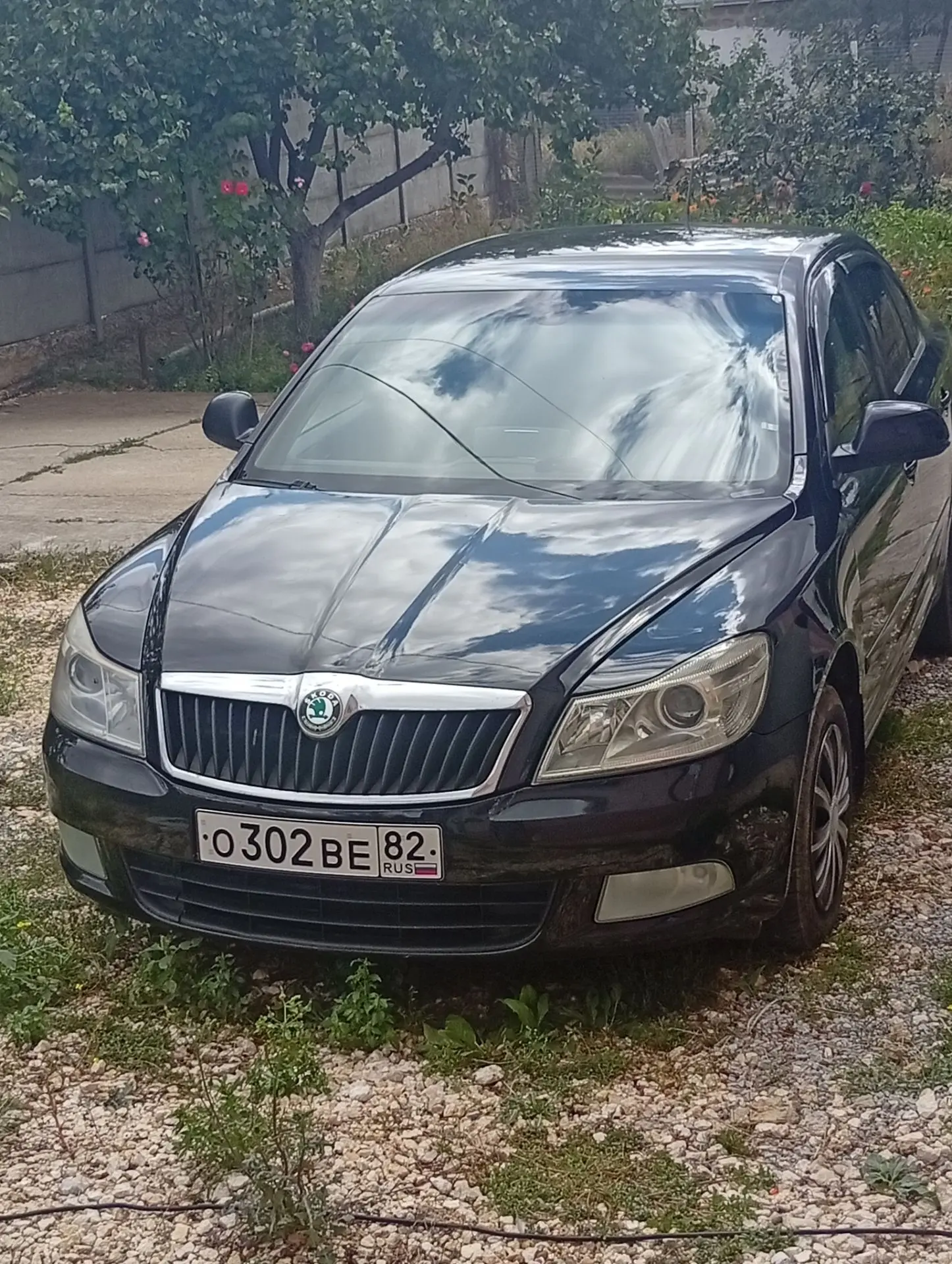 Продам Октавия А5,2013г,1.4 турбо,122 л, Автомат,в хорошем состоянии,без проблем,без рж...