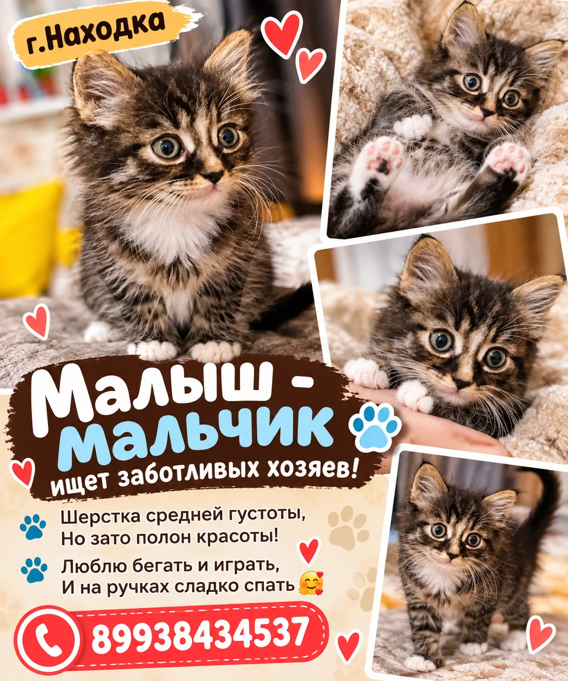 г.Находка. Малыш -мальчик ищет заботливых хозяевШерстка средней густоты,