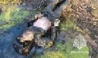 Тело 29-летнего мужчины достали из Камы в Челнах