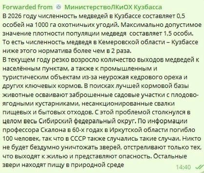 В Кузбассе отказались от массового отстрела медведей.