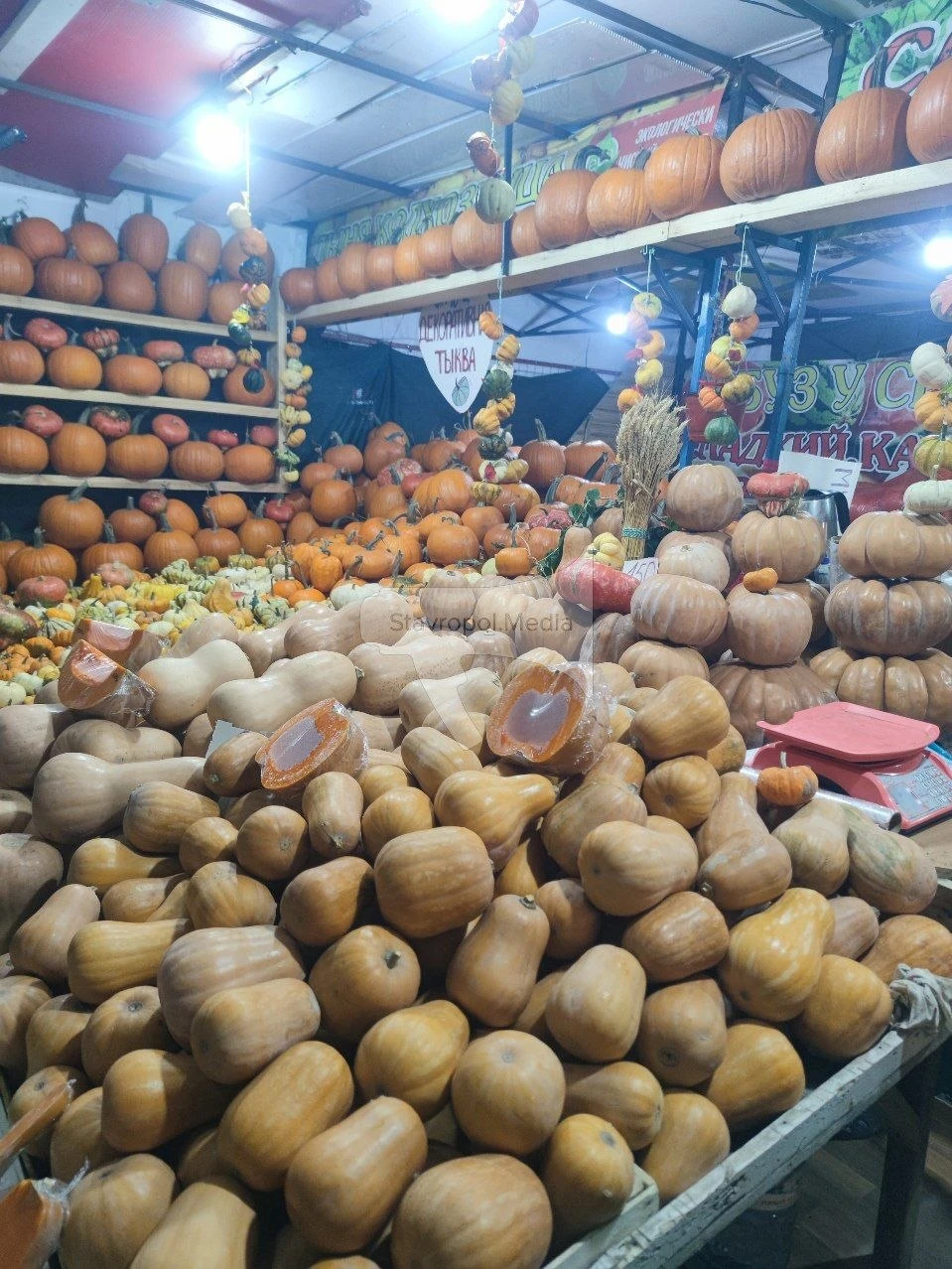 🎃Тыквенное настроение в Ставрополе