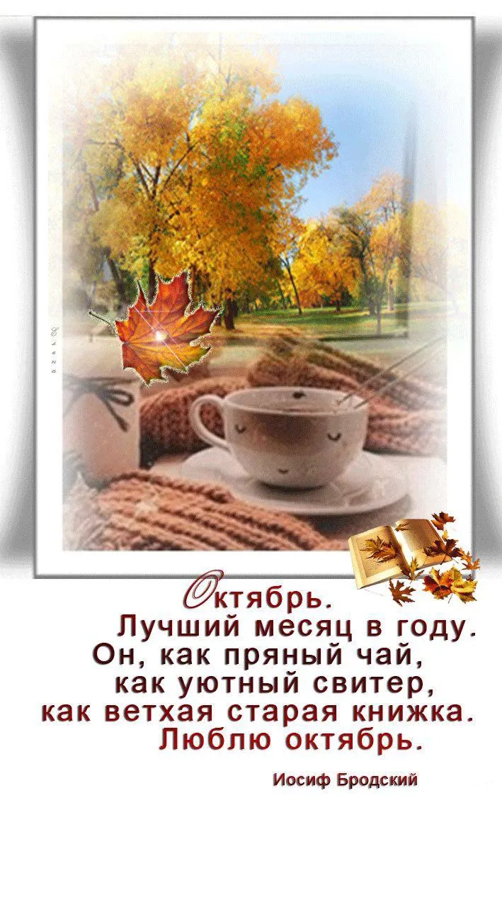 Женские открытки💝