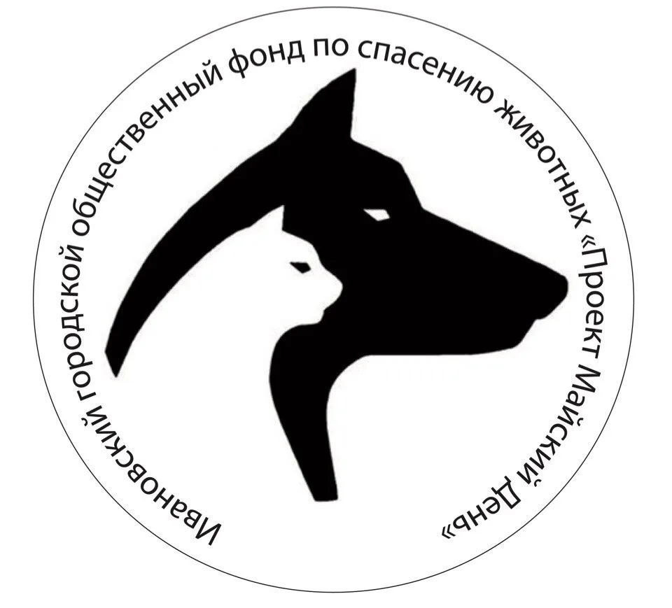 Ученики 26-й школы доставили в приют «Майский день» помощь для животных