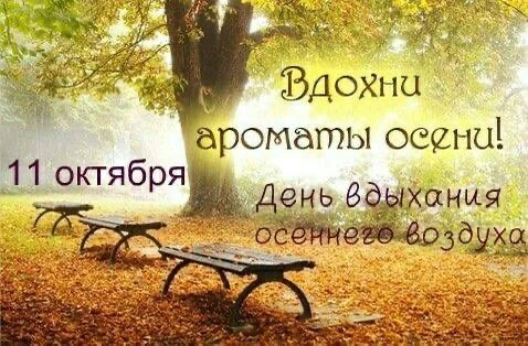 Женские открытки💝