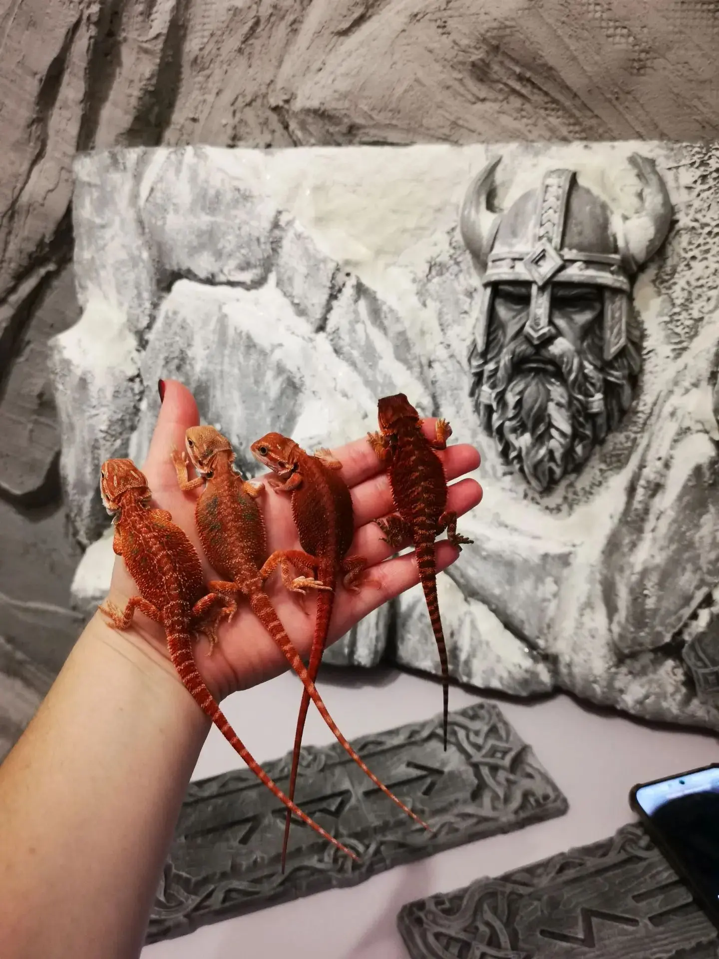 Вау какие красавцы❤️🦎💗