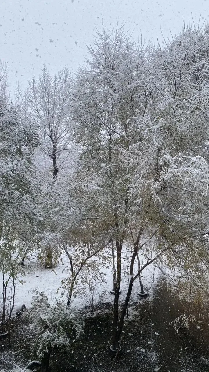 Юг Красноярского края укутал первый снег 🏂⛄❄Богучанский округ ждет своей очереди🤭А во...