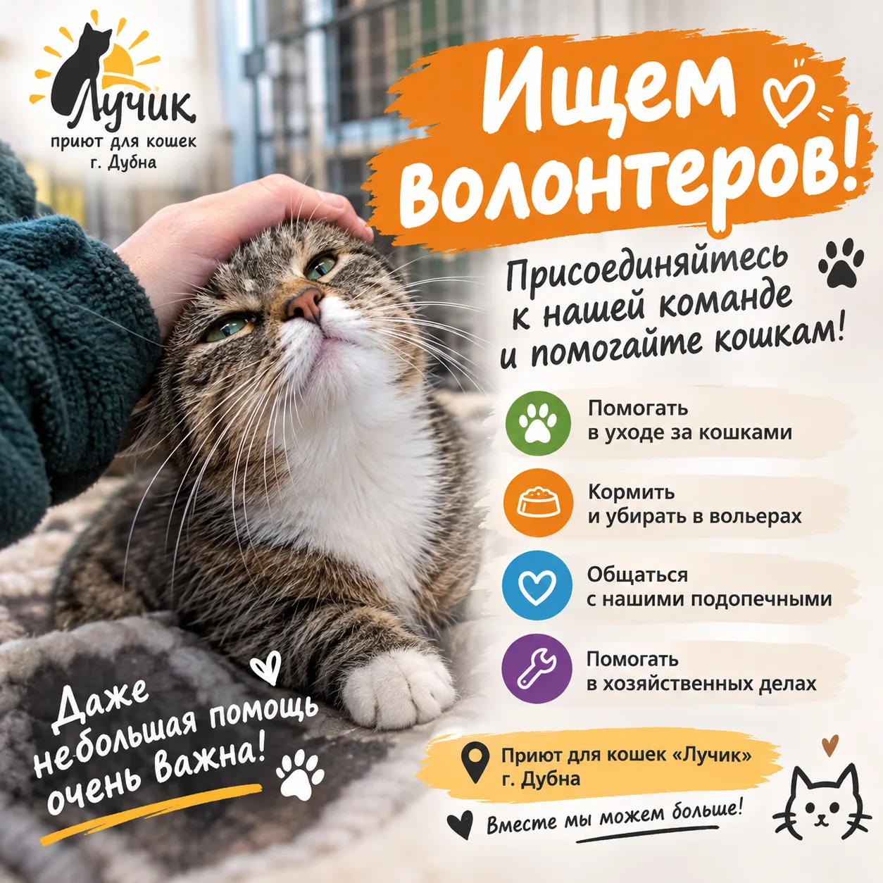 ПРИЮТУ «ЛУЧИК» НУЖНЫ ВОЛОНТЁРЫ! 🐱❤