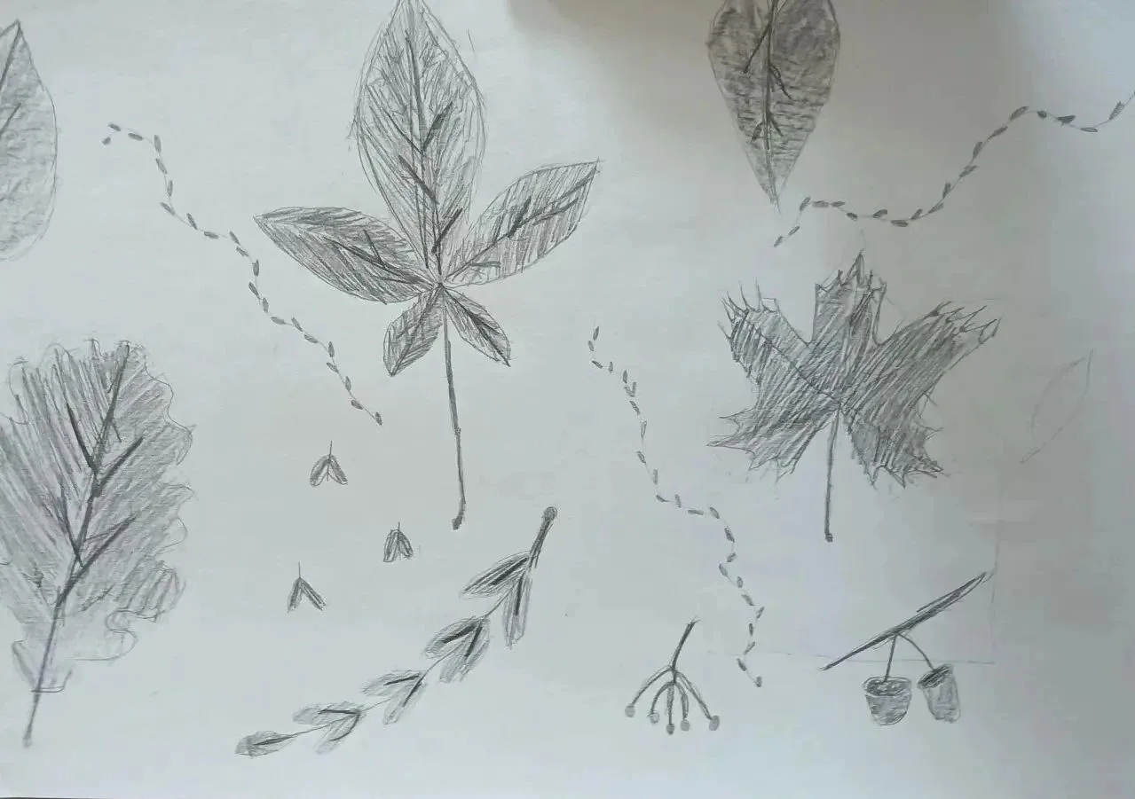 🍁🍁Гордиенко Мария, 5 класс❤️
