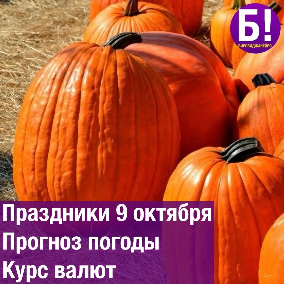 📬 Всемирный день почты