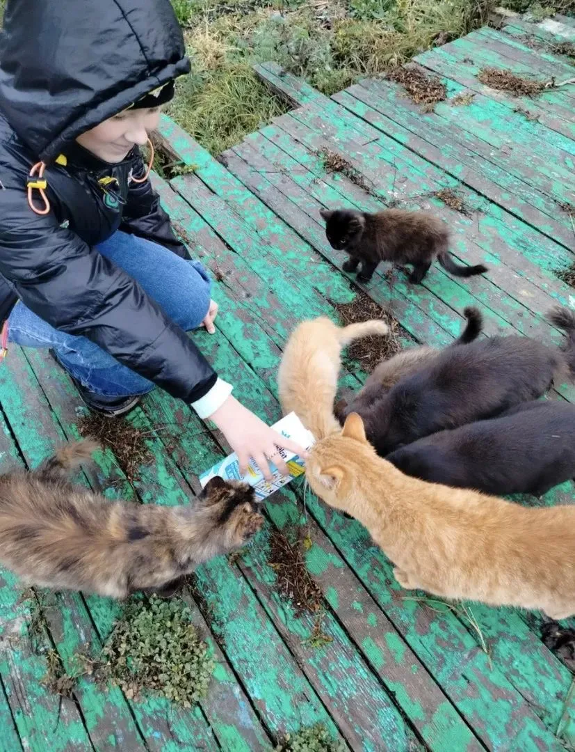 🐾 Маленькое сердце — большое добро!