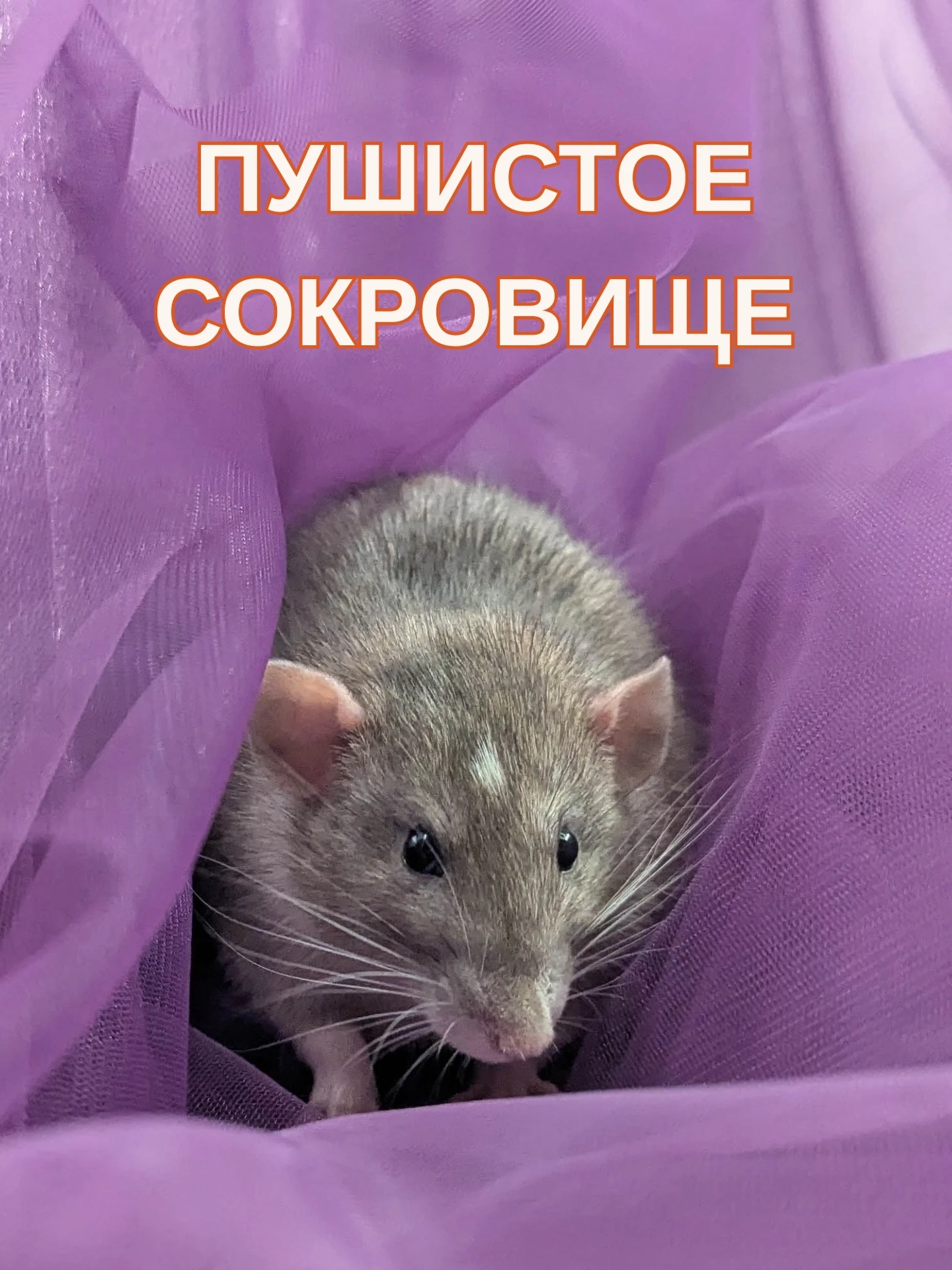 💖Хотите ощутить радость в душе и тепло на ладони? Тогда этот мальчик для вас!
