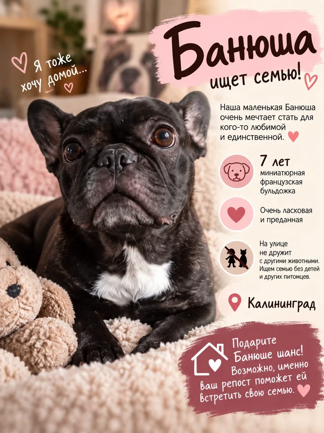 🐾❤️ БАНЮША ИЩЕТ СВОЮ СЕМЬЮ! ❤️🐾