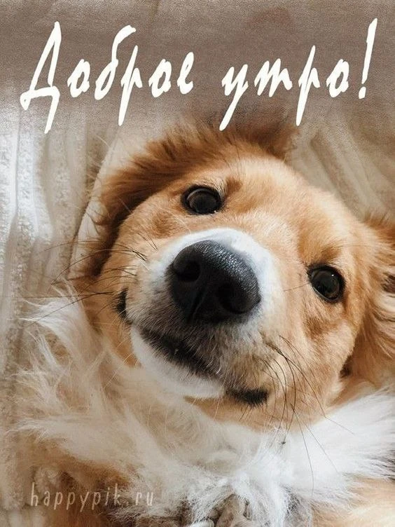 И хорошего дня 🥰❤️