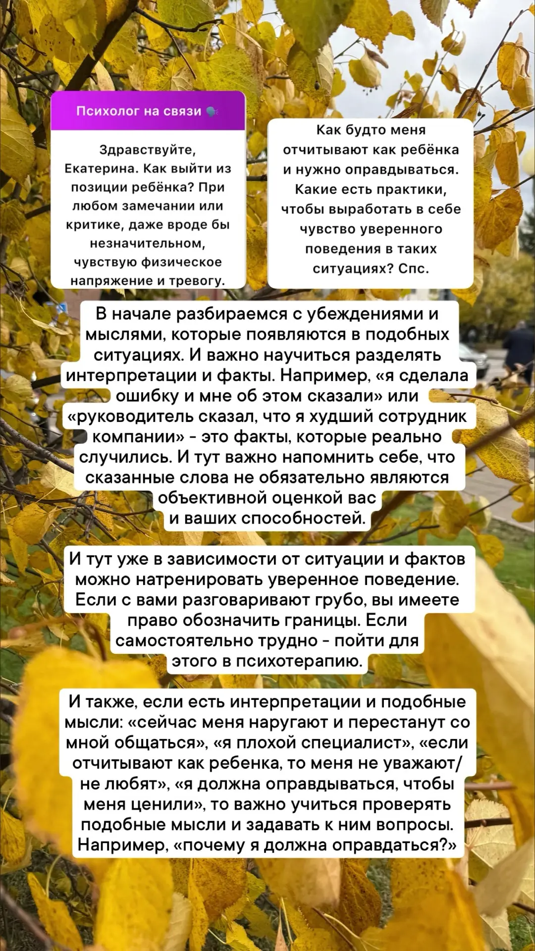 Разбор ваших анонимных вопросов💛