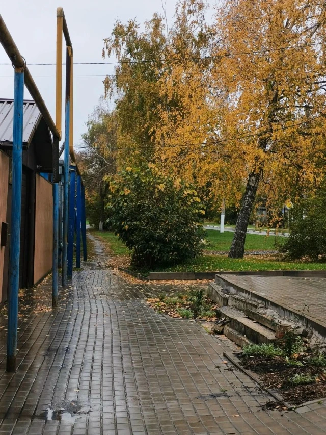 Привет! Сделала для вас пару фоток сегодняшнего утра. Остаётся только сказать, что на у...