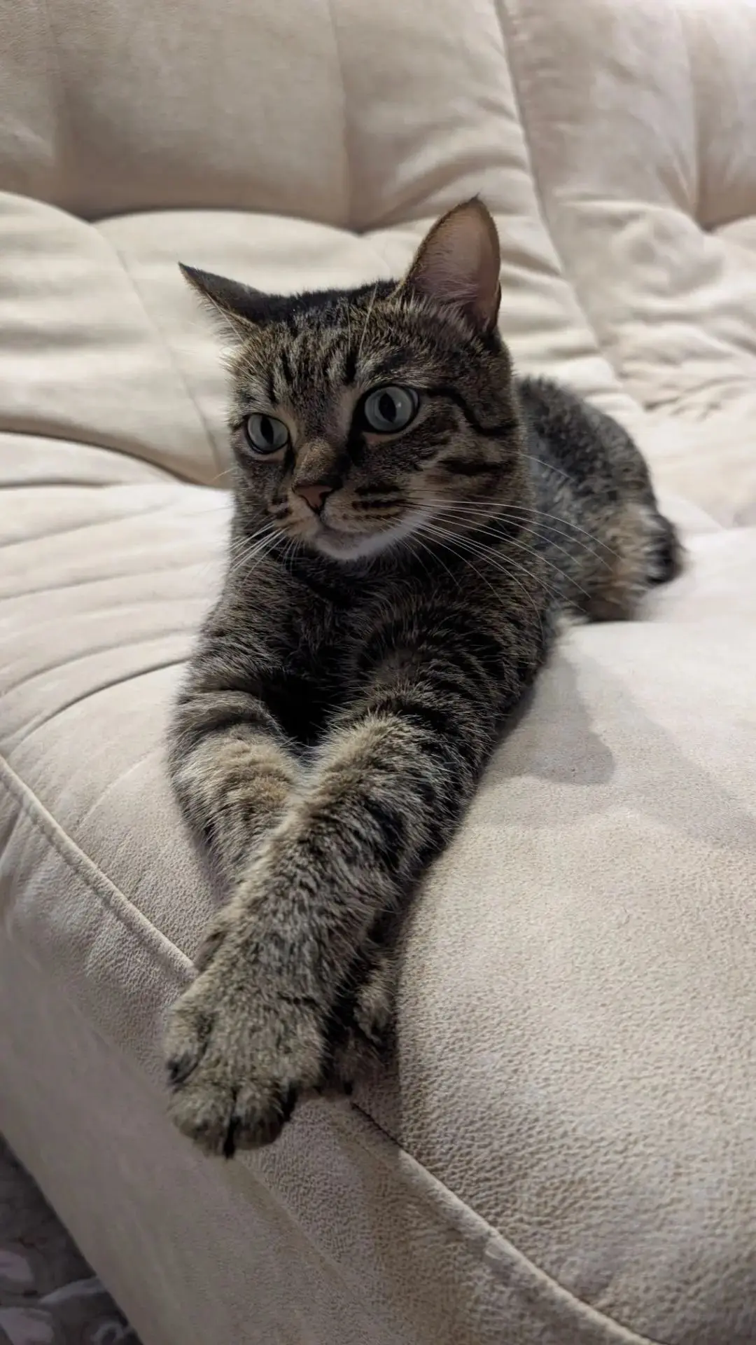 Костян ❤️❤️❤️