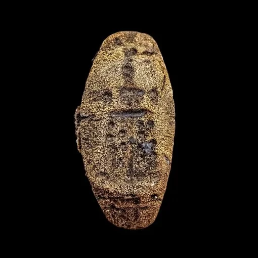 💍На дне Александрии нашли кольцо с изображением одного из семи чудес света