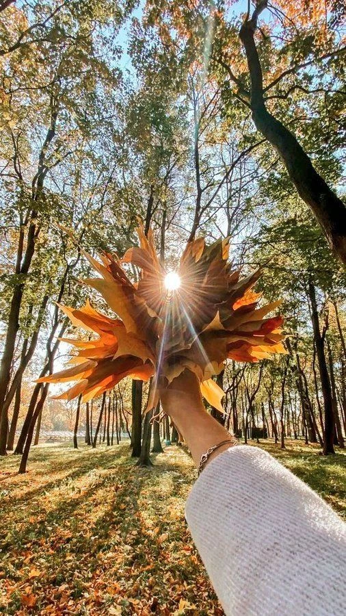 🌤️ Сегодня, 15 октября, погода дарит нам на удивление тёплый и спокойный день. Осадков...